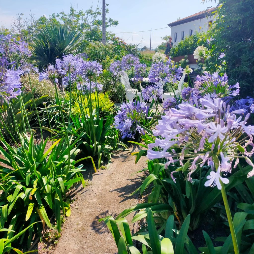 La Casa Azul casa alquiler Alquiler de Villas y Casa Rurales en Asturias