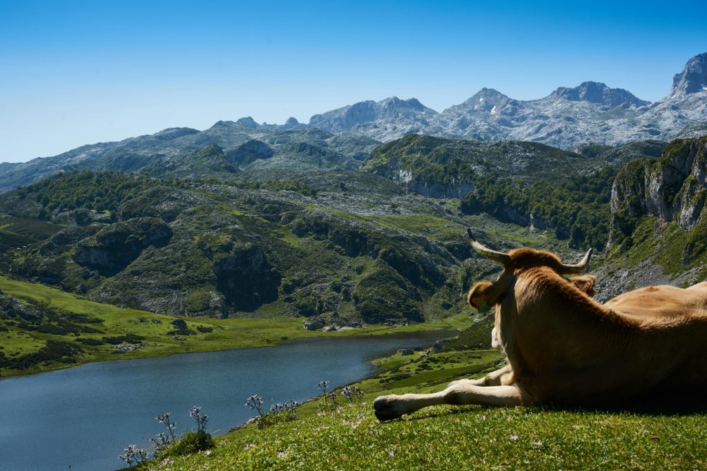Alquiler de Villas y Casa Rurales en Asturias